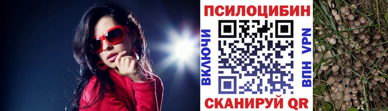 Галлюциногенные грибы Psilocybine cubensis  как найти   Ступино 
